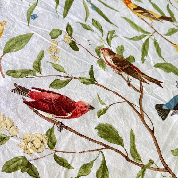 Pottery Barn Bird Duvet Cove Full Queen Spring Sparrow Button Closure :Nature - Picture 10 of 15